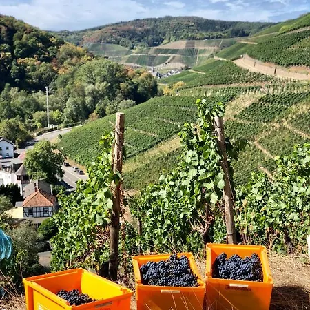 アパート Ideenreich *