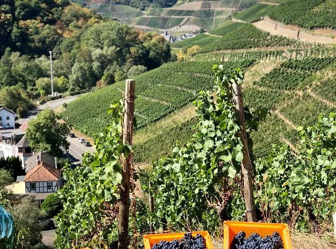 Lägenhet Ideenreich *